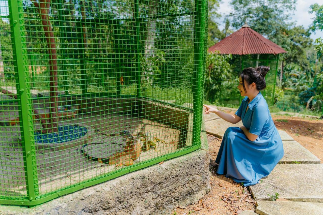 De Bintan Villa Tenaga Buitenkant foto
